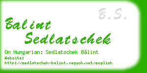balint sedlatschek business card